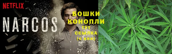 мескалин Переславль-Залесский